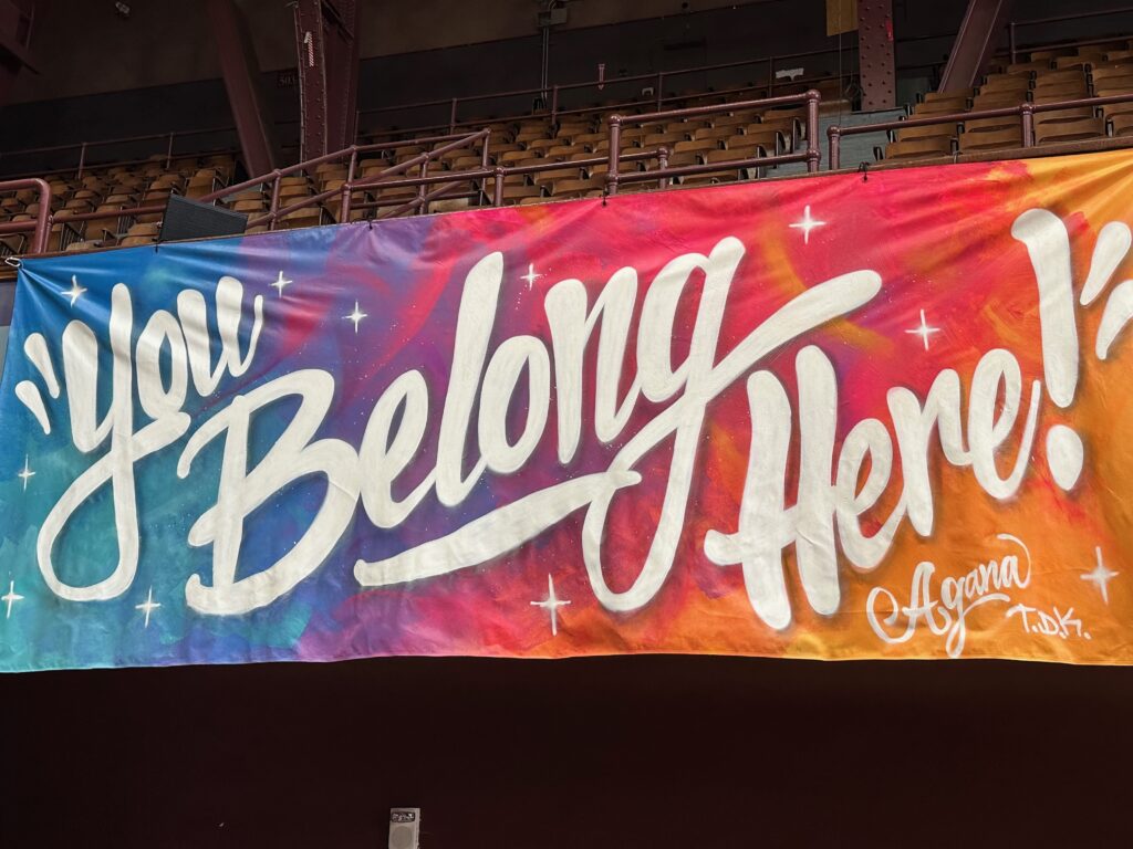 Belonging, Bridging & Targeted Universalism Resources