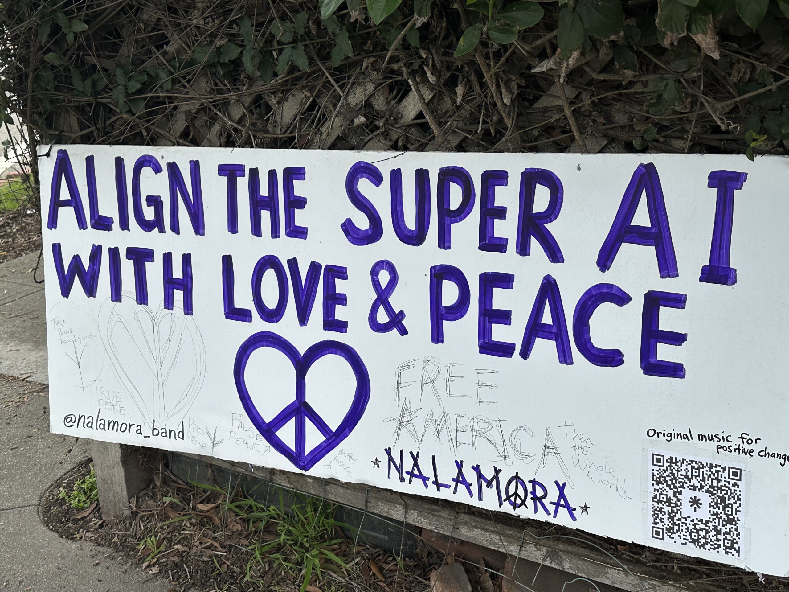 Targeted Universalism Case Studies